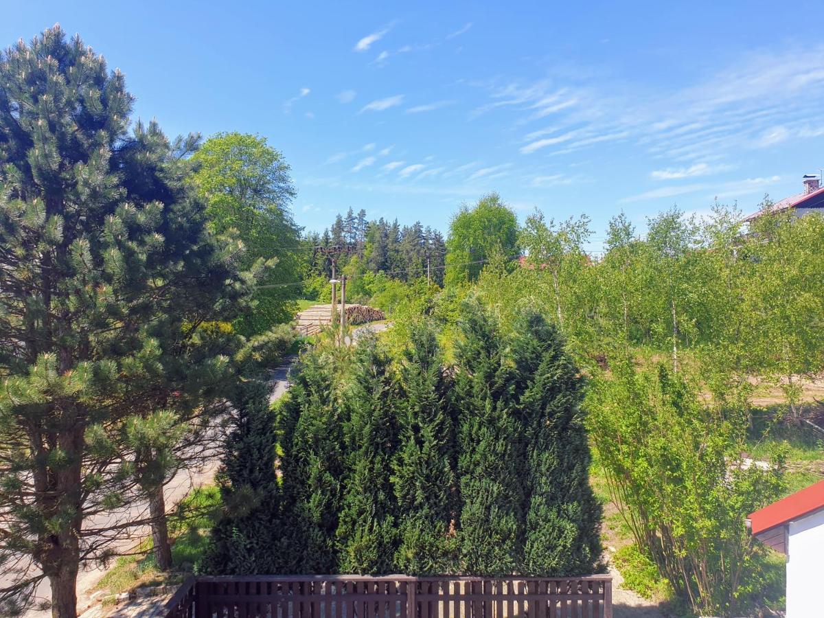 Penzion Lumis Nová Role Exteriör bild