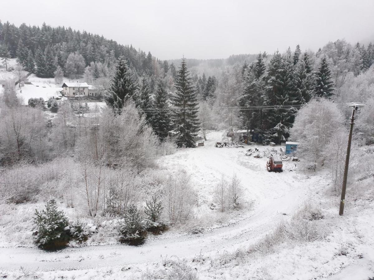 Penzion Lumis Nová Role Exteriör bild